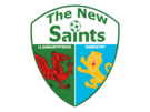 Logo The New Saints