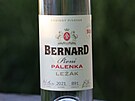 Pivní pálenka Bernard