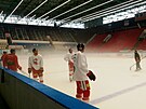 Olomouck zimn stadion m po nezbytn generln oprav novou stechu. Firma ji...