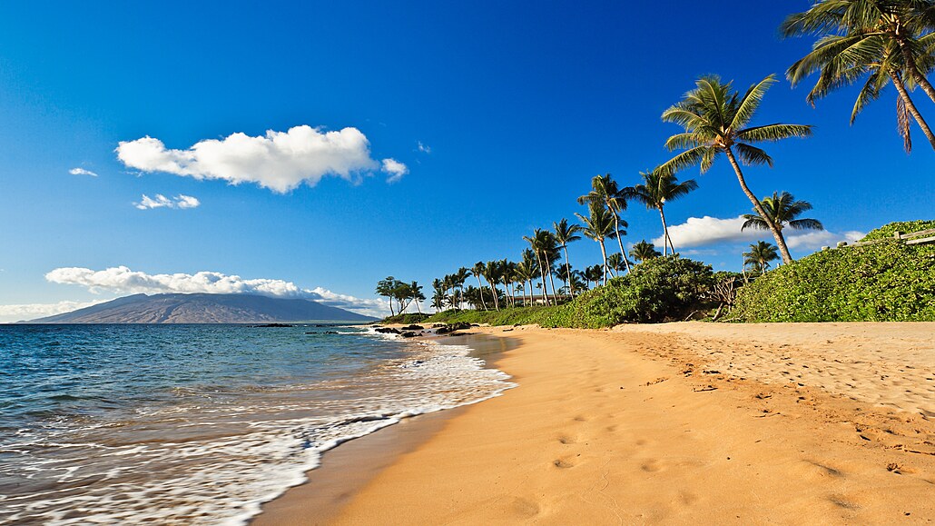 Ne kadý den musí být nové dobrodruství. Tady jsi na Havaji. Sedni si, zavi...