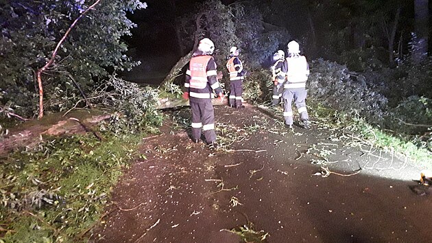 Hasii na Liberecku zasahovali pedevm u spadlch strom na komunikacch. (8. srpna 2021)