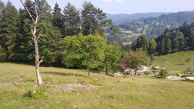 Ide�ln� louka pro v�skyt modr�ska �ernoskvrnn�ho