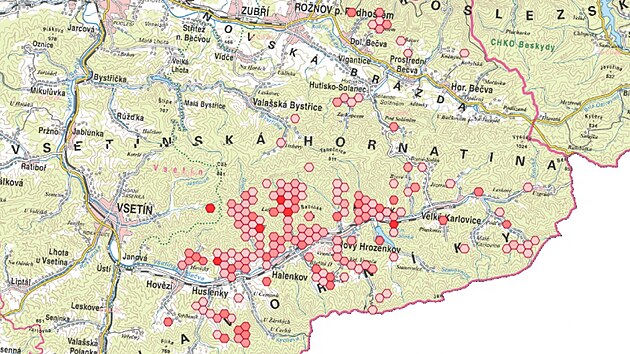 Mapa rozen modrska ernoskvrnnho v Beskydech.