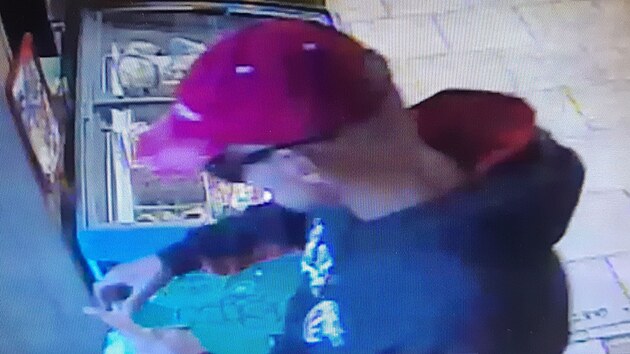 Kamerov� z�znam lupi�e z hav��ovsk� ve�erky.