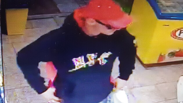 Kamerov� z�znam lupi�e z hav��ovsk� ve�erky.