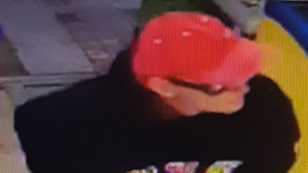 Kamerov� z�znam lupi�e z hav��ovsk� ve�erky.