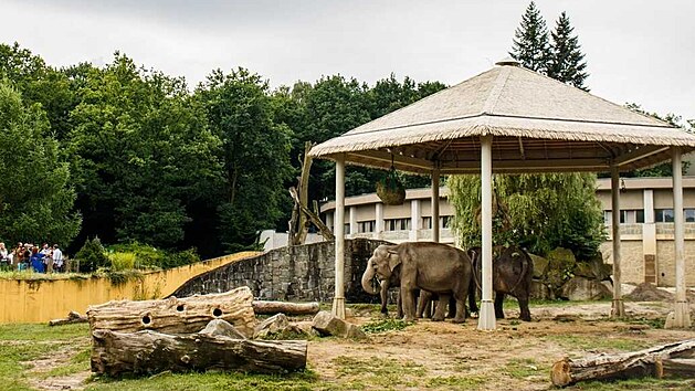 Sloni v ZOO Ostrava se mohou ped hnoucm sluncem schovat pod nov stnidlo.