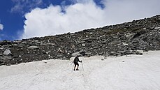 Na snhovém poli pi sestupu z vrcholku Kleiner Ankogel (3 096 m)