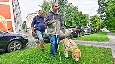 Nevidomí a vodicí psi se ve Zlíně učili vyrovnat se s nástrahami městského...