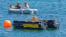 Odborníci mu zídili ponton, aby ml kde odpoívat a neniil pitom plavidla....