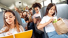 ilustra�ní snímek