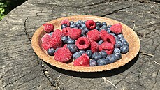 Na trhu se objevují i jedlé talí�e.