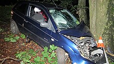 Po nehodě mezi Žacléřem a Prkenným Dolem posádka auto opustila (5. 8. 2021).