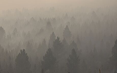 Na území více ne deseti stát na západ USA dál zuí lesní poáry. Plameny se...