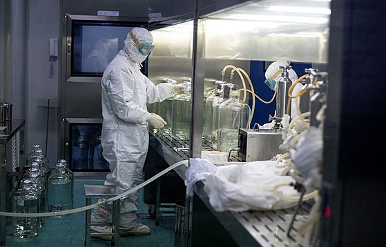 Pracovník v laboratoři v čínském Šen-jangu (10. června 2020)