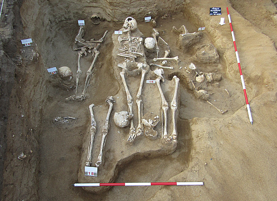 Na pohebiti v Pibicích na Brnnsku u odkryli 72 koster habán nebo jejich...