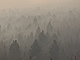 Na území více než deseti států na západě USA dál zuří lesní požáry. Plameny se...