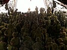 Brittí vojáci pistávají v Kábulu, aby evakuvali státní písluníky