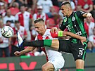 Slávistický kapitán Stanislav Tecl se v utkání s Ferencvárosem pokouí...