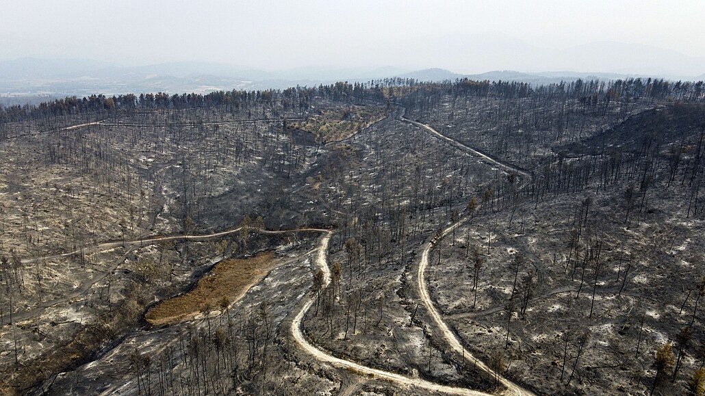 Na ostrově Euboia požáry sužují oblast mezi obcemi Agia Anna a Agriovotano....