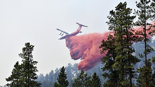 Na území více než deseti států na západě USA dál zuří lesní požáry. Plameny se v posledních hodinách nebezpečně přiblížily k několika městům na jihovýchodě státu Montana, kde úřady evakuovaly tisíce lidí. (11. srpna 2021)