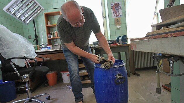 Prepartor Slezskho zemskho muzea v Opav preparuje lva Sohana z ostravsk zoologick zahrady.