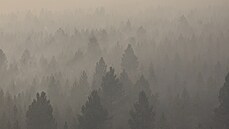 Na území více než deseti států na západě USA dál zuří lesní požáry. Plameny se...