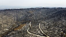 Na ostrově Euboia požáry sužují oblast mezi obcemi Agia Anna a Agriovotano.... | na serveru Lidovky.cz | aktuální zprávy
