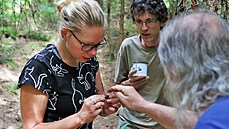 Díky archeologickým sondám letos tým pracující pod odborným vedením Ji�ího...