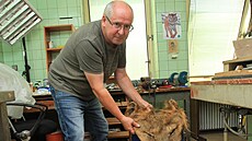 Preparátor Slezského zemského muzea v Opav preparuje lva Sohana z ostravské...