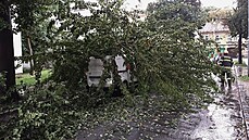 Hasiči v Jihomoravském kraji zasahují v souvislosti se silnými bouřkami u...