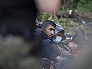 Skupina migrant zejm z Afghánistánu uvázla na blorusko-polské hranici. (19....
