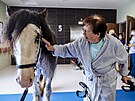 Mlékovice, hipoterapie, k��, Centrum Clementas, domov pro seniory, 23. srpna...