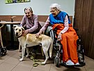 Ml�kovice, hipoterapie, k��, Centrum Clementas, domov pro seniory, 23. srpna...