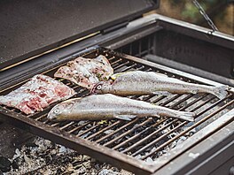 Ryba je výborný tip na grilování, je lehká a rychle hotová.