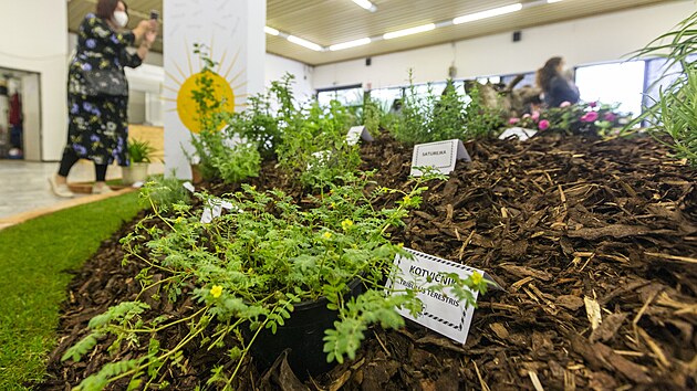 Letn etapa zahradnickho veletrhu a kvtinov vstavy Flora Olomouc nabdla hlavn expozici inspirovanou Visutmi zahradami Semiramidinmi, lid vidli tekouc proudy vody, kaskdovit zhony pln kvtin a tisce livch rostlin. Branami vstavit prolo rekordnch 22 tisc nvtvnk.