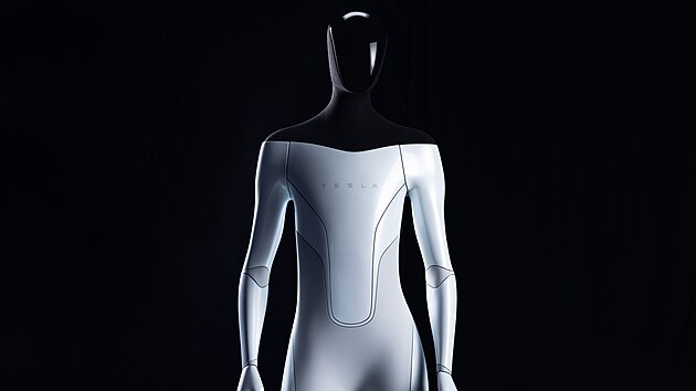 Humanoidn robot Tesla Bot.