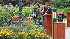 Náv�t�vníci 55. ro�níku Mezinárodního filmového festivalu Karlovy Vary.