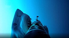 Žralok napadl podmořskou sondu SharkCam.