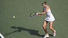 Karolína Plíková returnuje míek pi semifinálovém duelu tenisového turnaje v...