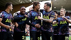 Fotbalisté Tottenhamu se spolen radují z první branky, kterou zaznamenal Dele...