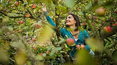 ilustra�ní snímek