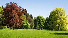 Pírodní park Monice, který navazuje na areál kladrubského hebína.