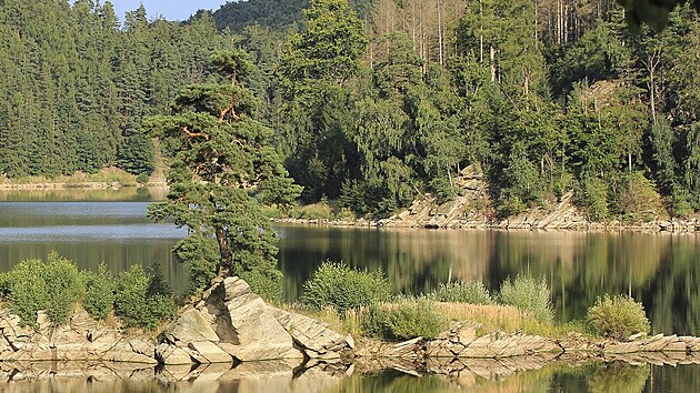 Setkání u Vírské přehrady bylo poděkováním těm, kdo přispěli k tomu, že se Chudobínská borovice stala Stromem roku 2019 a následně i Evropským stromem roku.