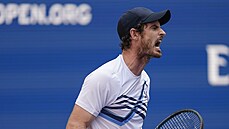 Brit Andy Murray b�hem prvního kola US Open.