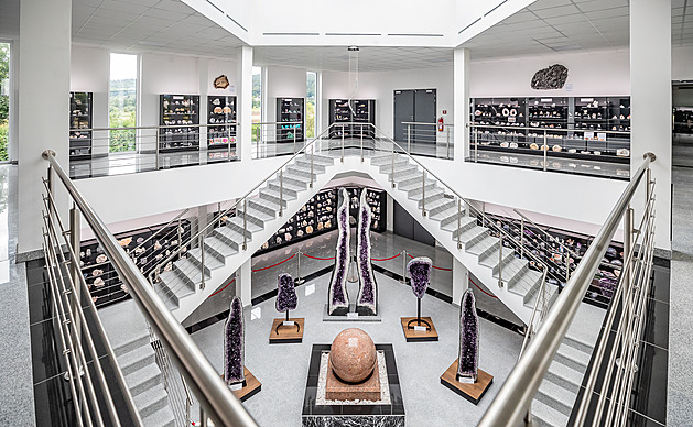 Zkamenělého ještěra sběratel sestavil jako puzzle, pomáhal si videi