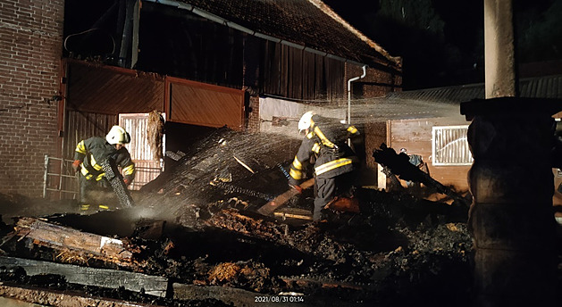 Uhynul i druhý kůň popálený při požáru stodoly, majitelce pomůže sbírka
