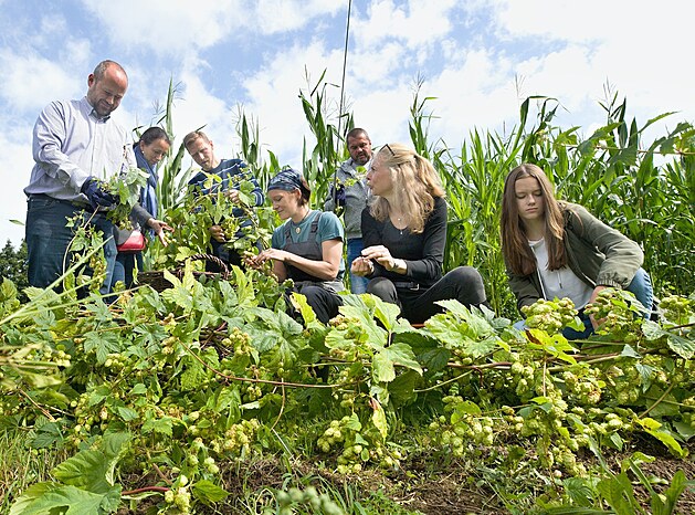 1. 9. 2021. esái na kolním chmelobraní ve Frýdlant