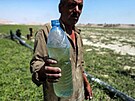Pro Syany ijící nedaleko Asadova jezera je voda ím dál cennjí. (25....