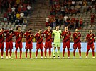 Fotbalisté Belgie poslouchají státní hymnu ped zápasem s eskem.